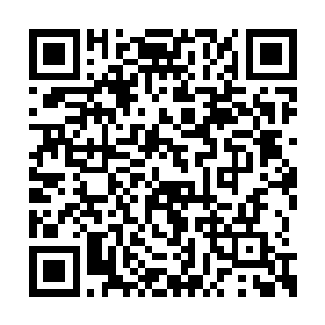 一座巨大如城堡般的宫殿便坐落在绿草松林之中二维码生成