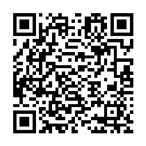 一座巨大的城市就仿佛一头从远古走来的巨兽一样匍匐在地上二维码生成