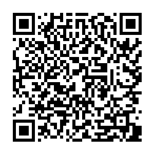 一开始秦宇还有些奇怪一直是呆在寻龙盘内金龙为什么这一次会突然主动出来了二维码生成
