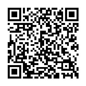 一式最普通的风卷残云朝着罗杰狠狠的踢了过去二维码生成