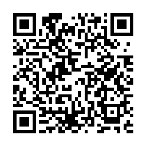 一张张散发着黑色光芒的符咒也骤然从他袖间激射而出二维码生成