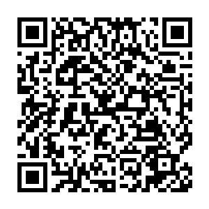 一想到自己这一群不管是修为还是经验都是菜鸟级别的人组成的队伍二维码生成