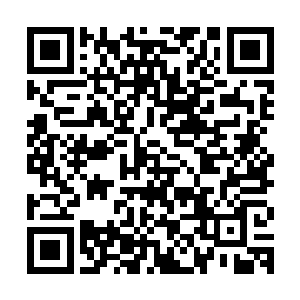 一想到那些现代的娇娇女们面对这样生活时的样子李鸾儿就想笑二维码生成