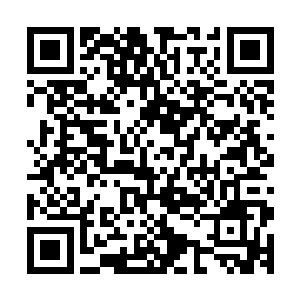 一扇就偏离了原来的轨道--徐福将核弹也经过了尸兄化改装二维码生成