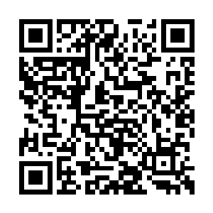 一手扯住那条看似长鞭形状实则剑意精髓的罡气二维码生成