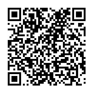 一手挎着篮子一手指着眼前这片不直蔓延到树林旁边的土豆苗兴奋的对龙战说道二维码生成