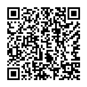 一把厨房里面专门用于砸散肉质纤维的钢柄橡胶锤就滑到巴克左手中二维码生成