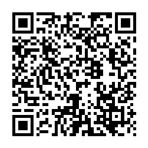 一招抵消了陈凌的攻击后那名武王的身上立即释放出了强大的灵气二维码生成