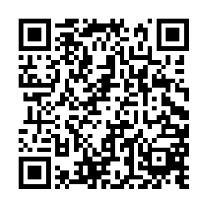 一招轻轻松松的将十几尊五重破碎的海兽给斩杀了二维码生成