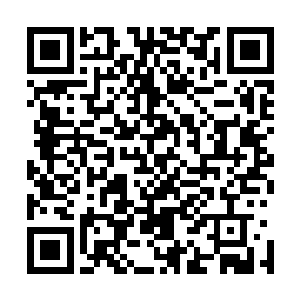 一拳逼退尸鬼的阿童木回身见蒂娜和针筒很是轻松的在聊天二维码生成