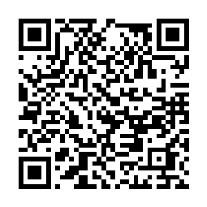 一排整整齐齐的羽箭方向力道完全一致的插在地上二维码生成