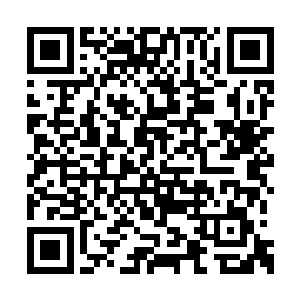 一排日后会变得很昂贵的红木书橱排列在书案后二维码生成