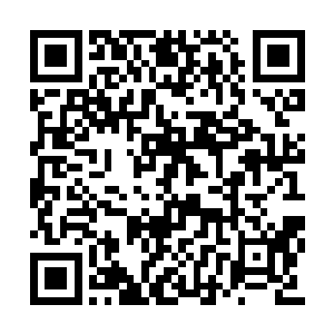 一旁的窦总督见苏落张口就是一连串的溢美之词二维码生成