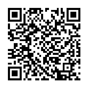 一旁的血雀一族众强者也是目光灼灼的看着这一幕二维码生成