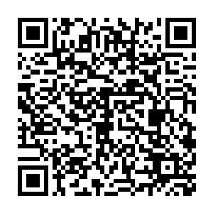 一旦外界之人来到诸天百界后整个诸天百界的格局必然会出现变化二维码生成