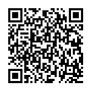 一时之间成为特种大队荷尔蒙分泌旺盛的小伙子们最热门的话题二维码生成