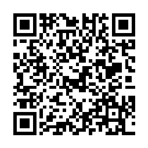 一时半会之间也根本无法破开那被金吒以体内精血献祭二维码生成