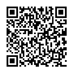 一时间无法将那和我在昏迷前所陷入的冰冷的海水分辨开来二维码生成