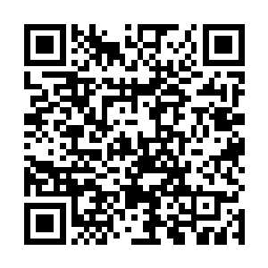 一时间绝望无比佳佳手放小腿处摸着藏着的一把折叠刀二维码生成