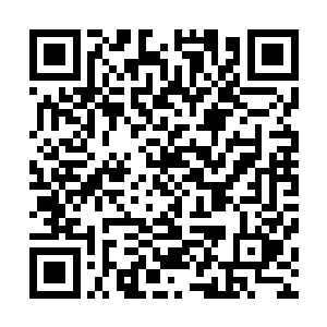 一本女老师从随身的文件包中拿出一本新的钢琴书放在桌上二维码生成