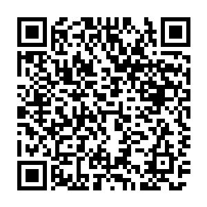 一条原本就活在小湖中的鱼尾巴一把大摇大摆的在贝海的眼前游过二维码生成