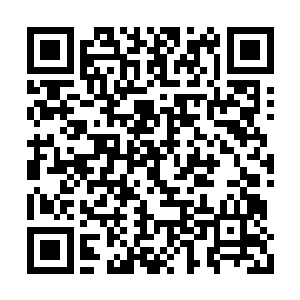 一条条毒蛇如同头发一样在美杜莎的头上蠕动着二维码生成