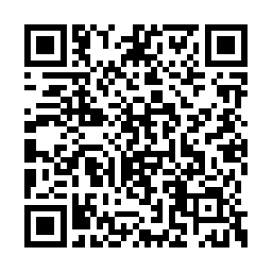 一条类似绳索一样的碧绿色长鞭出现在了她手中二维码生成