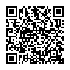 一条蜿蜒数万米的晶脉便被许紫烟固定在望仙城地底二维码生成