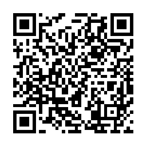 一条身着太玄宗服饰的人影在许氏家族的周围迅速地跃动着二维码生成