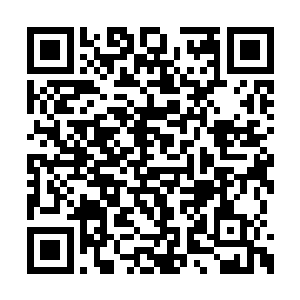 一条长长的红地毯随着它的滚动一直铺到飞艇前二维码生成