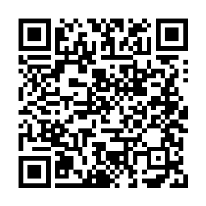 一条龙的思维是绝对不能用人类的思维来衡量的二维码生成