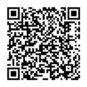 一来韩希夷名列锦绣五少东――现在是六少东了――家世人才上上好二维码生成