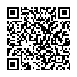 一枚通体血红周身盘旋缠绕黑线的锥针出现在众人眼前二维码生成