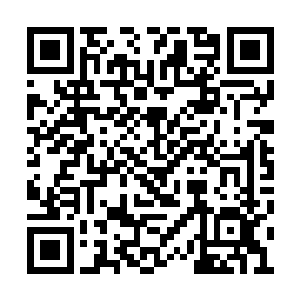 一架崭新的单筒望远镜和一个活动支架就在里面二维码生成