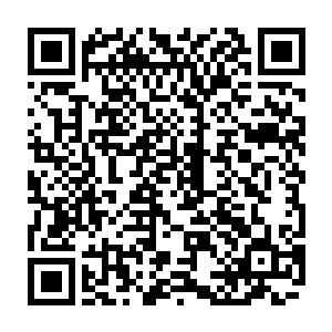 一架蓝白机甲双手握住光剑顶在一架黑色机甲的操控舱那里迅速向前飞掠二维码生成