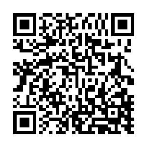 一柄不知道用什么材质的做成的魔法杖就出现在了他的手中二维码生成