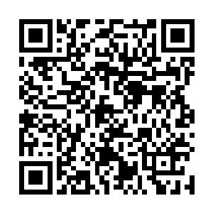一柄灼热的长枪犹如幽灵一般出现在白冠云的咽喉之前二维码生成