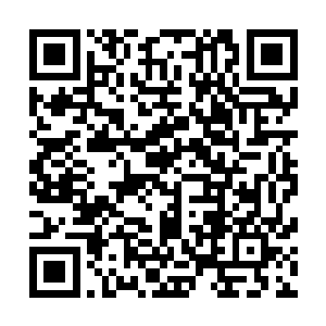 一株又一株跟眼前那怪异植物一般模样的东西如雨后春笋般二维码生成