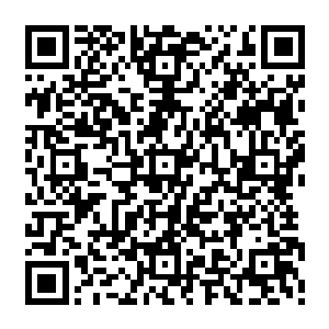 一株普通的玄品药材对于一般的入道境界的修炼者来说已经算是一笔不小的财富了二维码生成