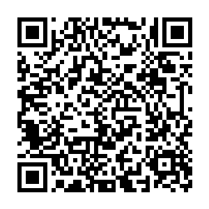 一根根散发着璀璨圣光的树枝也纷纷从楚旬身边的虚空之中破空而现二维码生成