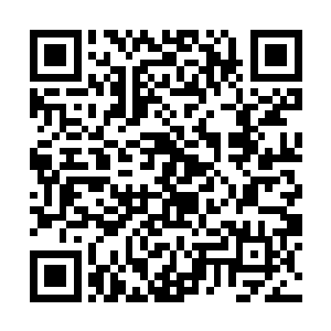 一根根藤蔓树枝也忽然以极快的速度从四周激射而来二维码生成
