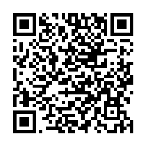 一根根闪烁着电弧的数据线也从杨凌的胸腔之中激射而出二维码生成