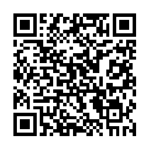 一根镶嵌着华丽蓝宝石的腰带勾勒出不堪一握的蛮腰二维码生成