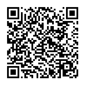 一次愉快的游玩对于孩子们在繁重的学习之余能够放松一下是大有好处的二维码生成