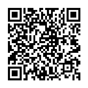 一溜快步的抬到了主座的左下手的一着正常尺寸的几案后放下二维码生成