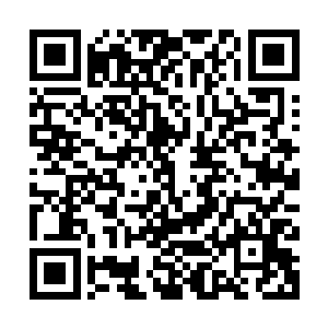 一点不想当他们证明彼此跨越种族禁忌之爱的伟大忠贞的牺牲品二维码生成