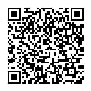 一点也看不出和刚刚那个威武霸气的欺负太子殿下的绛紫是同一个人二维码生成