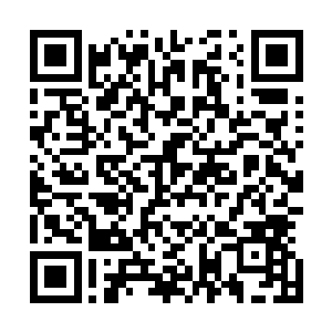 一直在用神识看着这里发生的所有事的木萦悠悠的叹了口气二维码生成