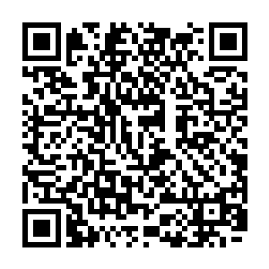 一直安静站在后面的黄衣少女在世界树叶子飞行穿梭在山脉中一会儿后突然出声二维码生成