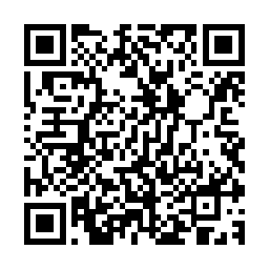 一直有所留意的安心却是出现在了让杨辰感到极为有缘的地方二维码生成